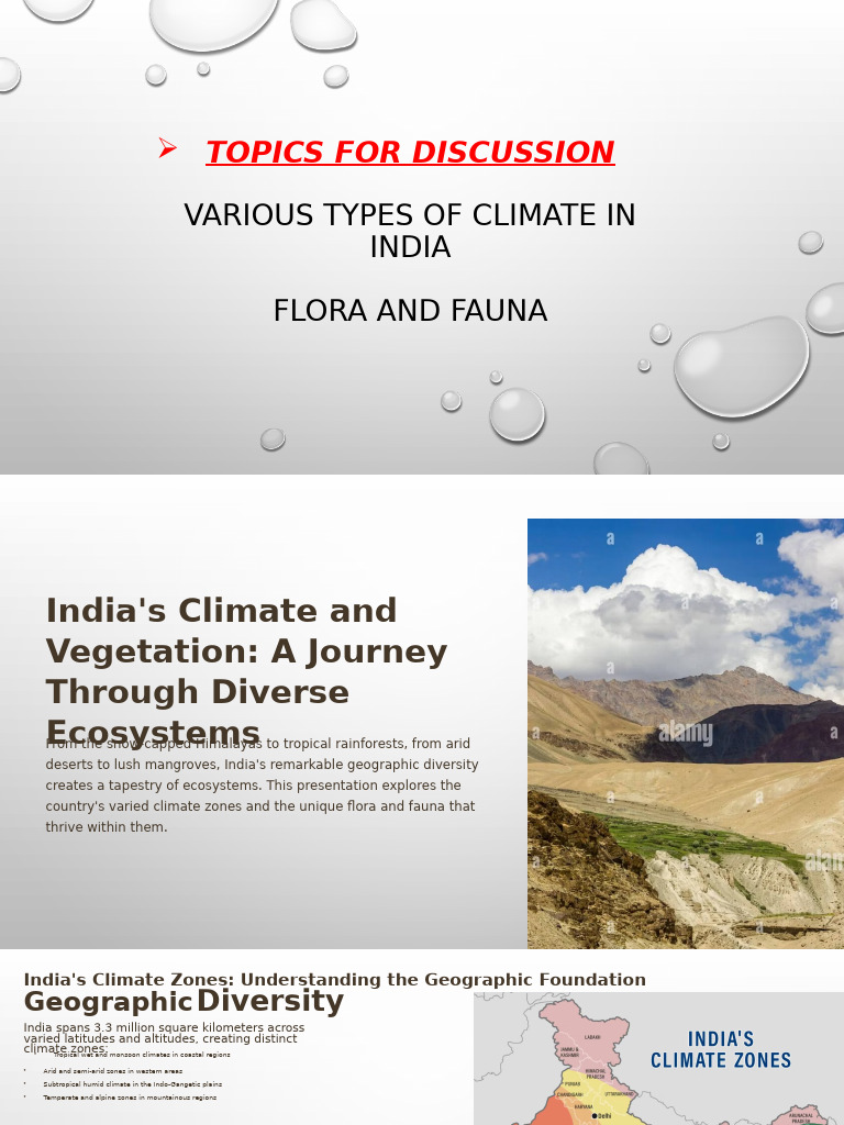Indias Climate and Vegetation A Journey Through Diverse Ecosystems ...