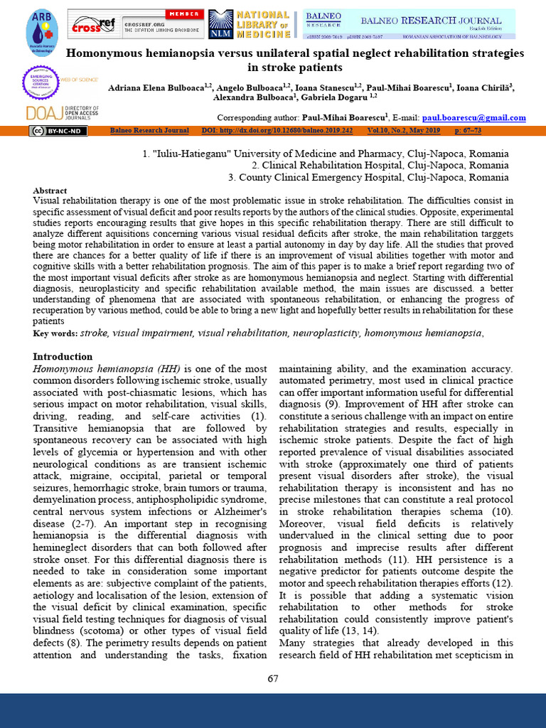 Homonymous Hemianopsia Versus Unilateral Spatial Neglect Rehabilitation ...