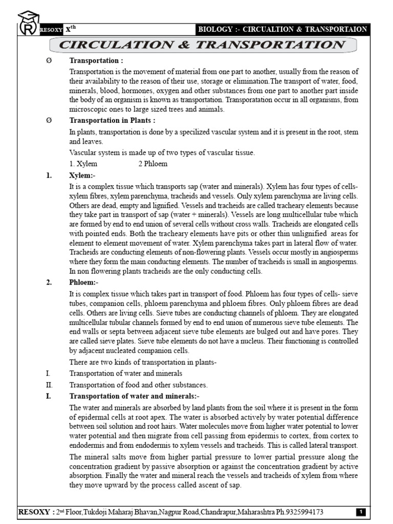 Circulation and Transportation 3 | PDF | Atrium (Heart) | Heart Valve