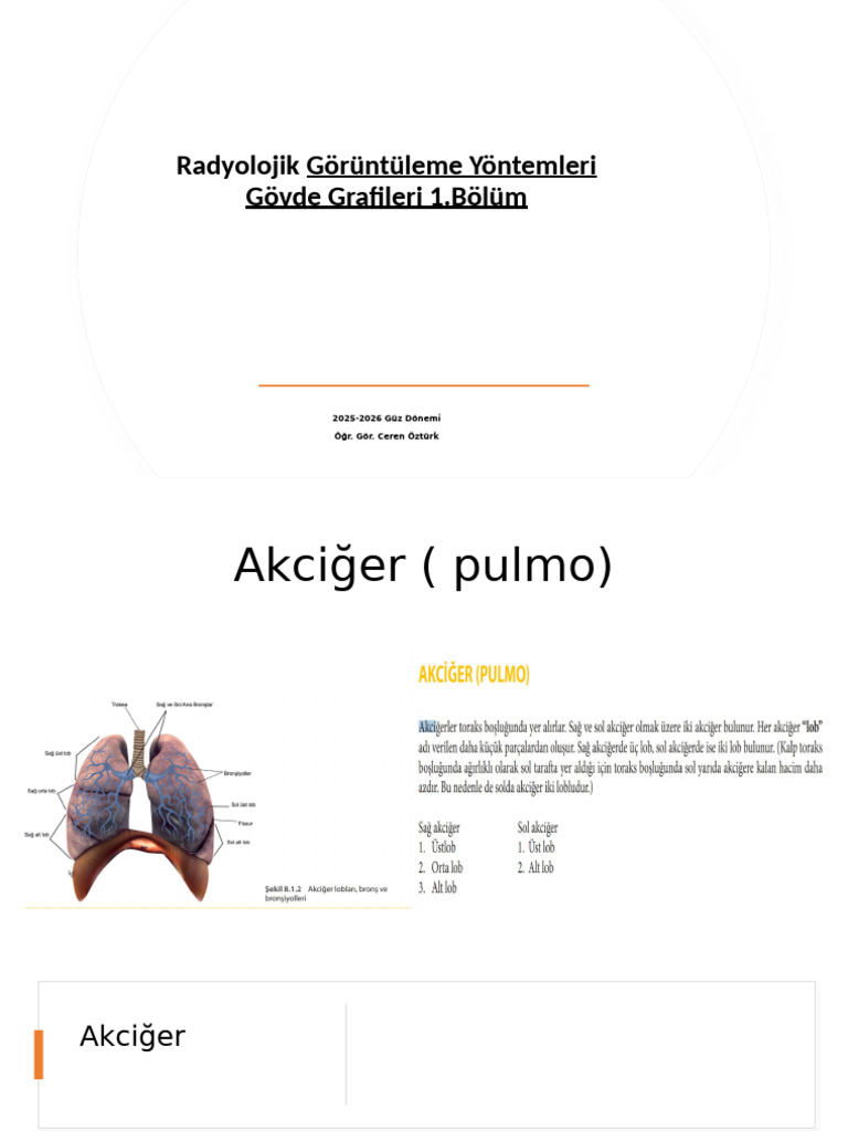 Govde Rontgen Incelemeleri 1 Bolum | PDF