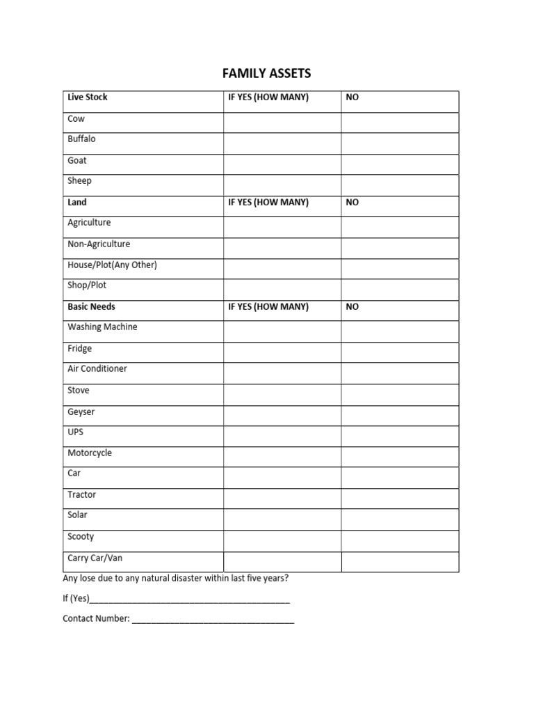 Family Asset Inventory Checklist | PDF