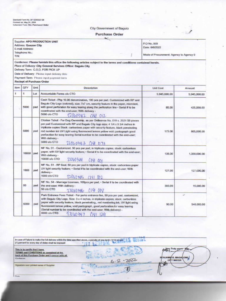 City Government of Baguio PO | PDF
