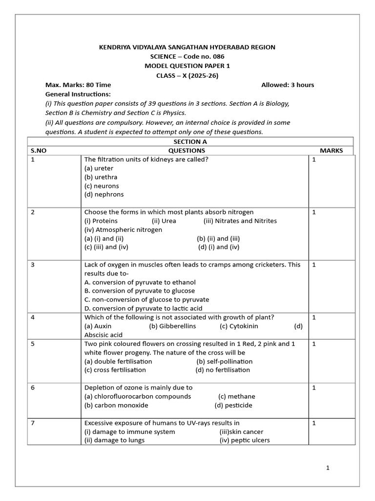 Class X Science Model Question Paper | PDF | Nervous System | Nerve