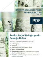 Bahaya Biologis Pada Pekerja Hutan