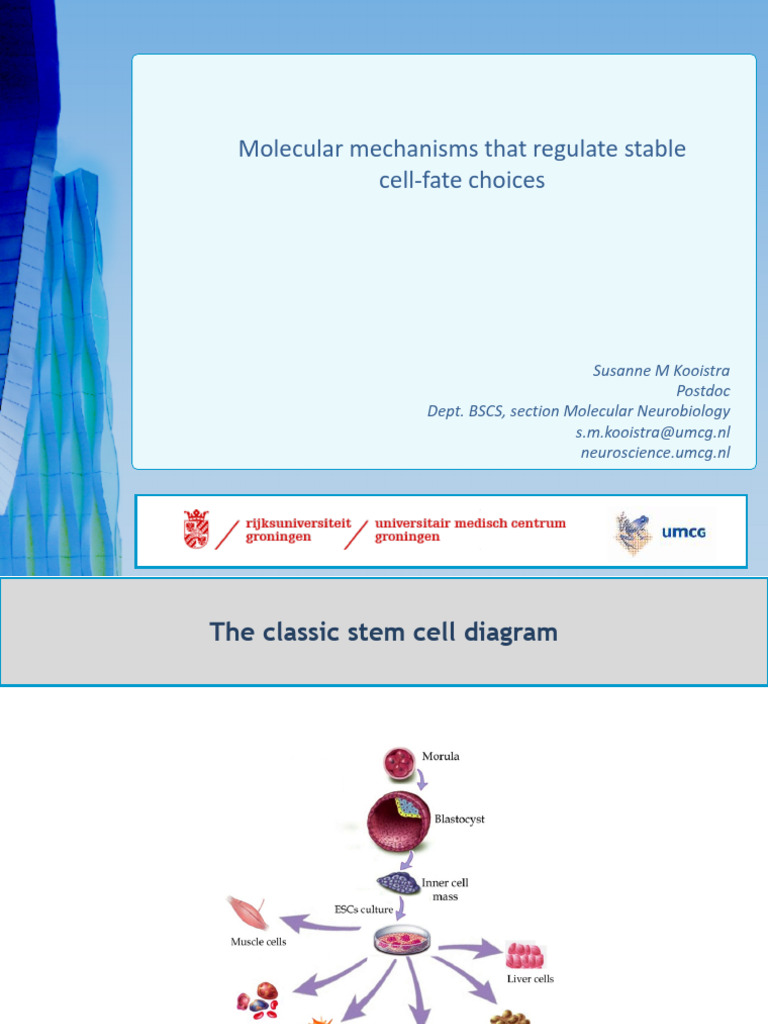 Molecular Mechanisms of Cell Specialization | PDF | Regulation Of Gene ...