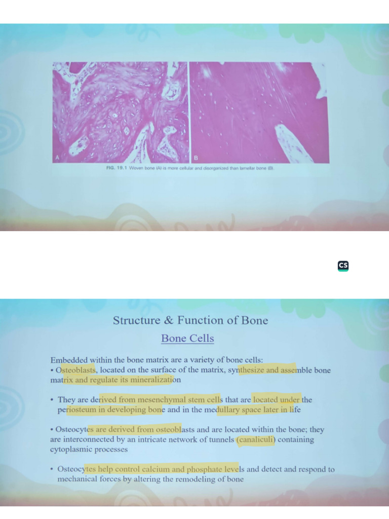 (PATHO-2) Overview of Basic Structure & Function of Bone With ...