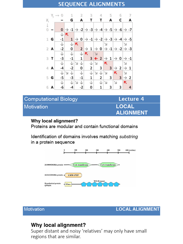 Local Sequence Alignment Techniques | PDF | Algorithms And Data ...