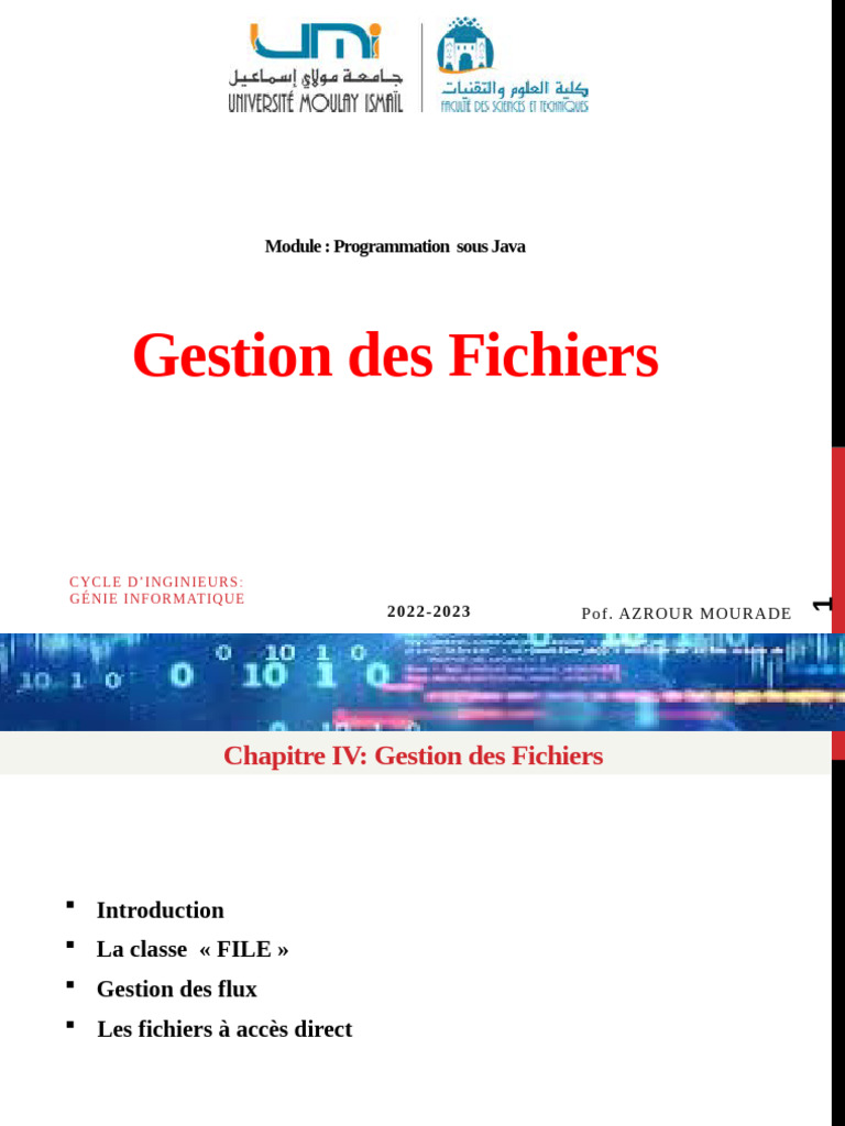 Gestion des fichiers en Java : Guide complet | PDF | Fichier ...