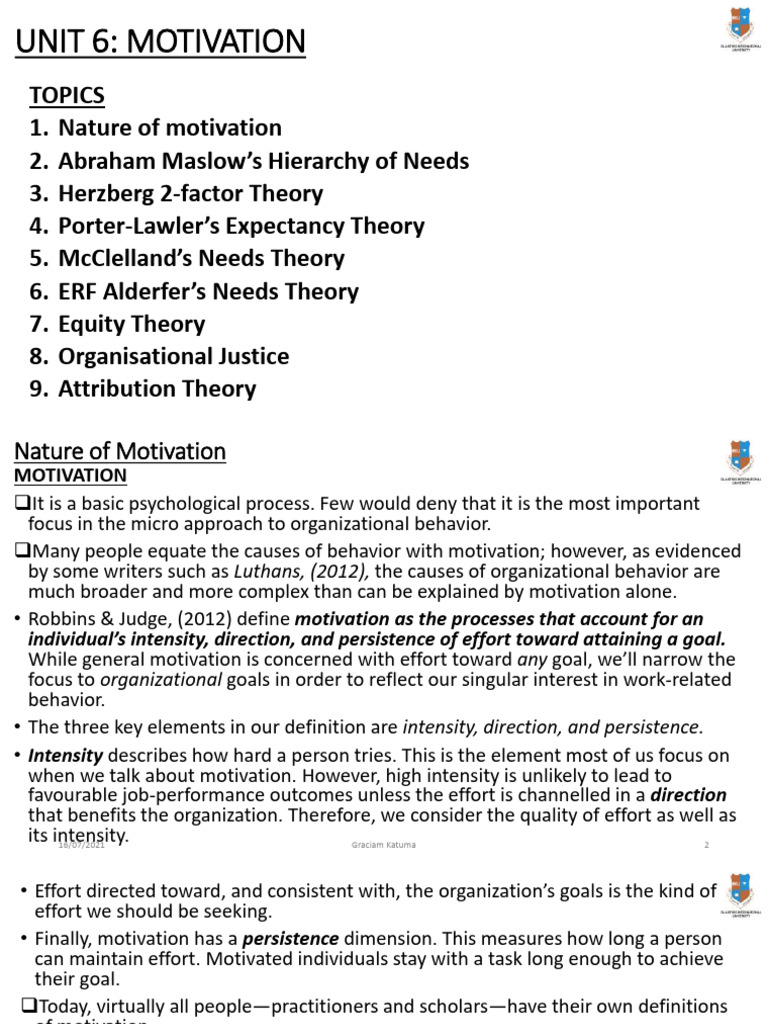 Understanding Motivation Theories in Organizations | PDF | Motivation ...