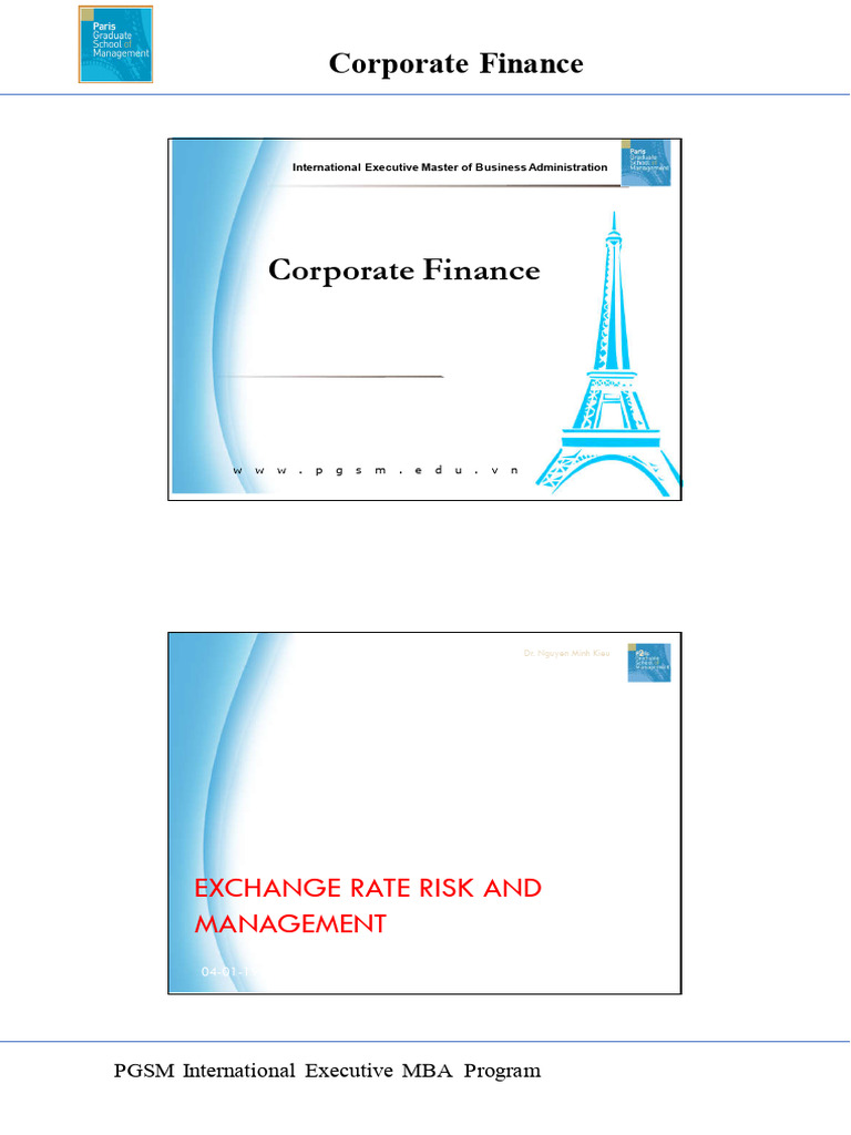 Exchange Rate Risk Management in Finance | PDF | Option (Finance ...