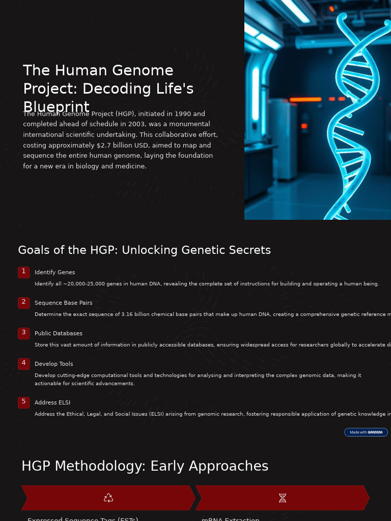 The Human Genome Project Decoding Lifes Blueprint | PDF | Dna ...