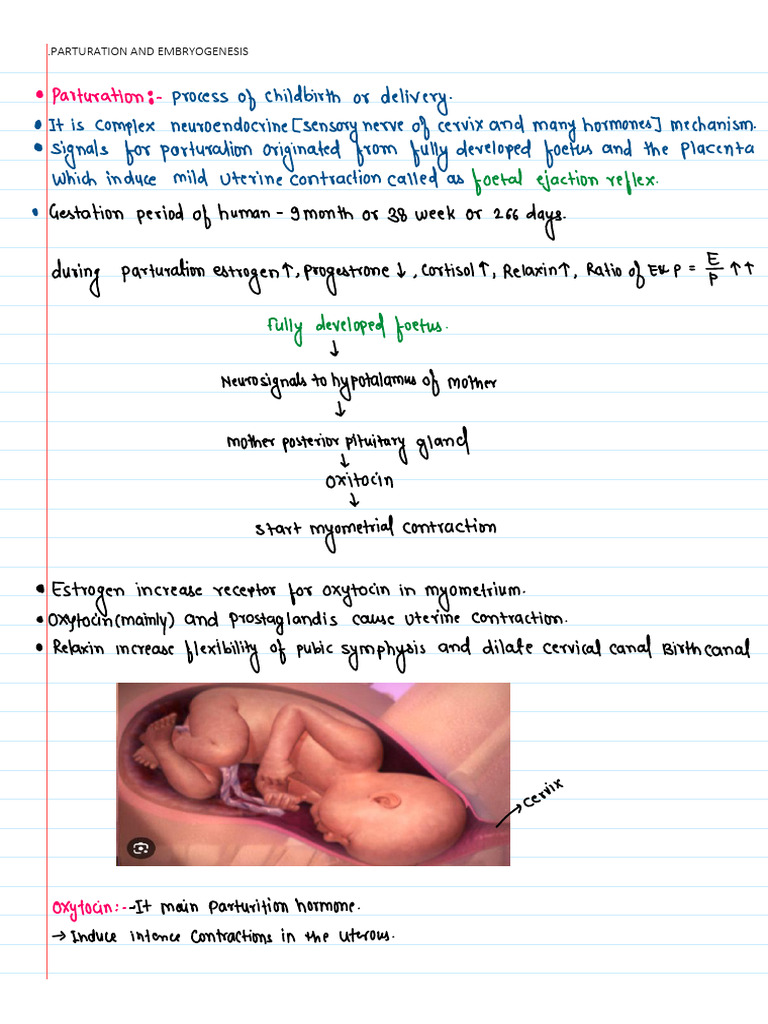 Parturation and Embryogenesis | PDF