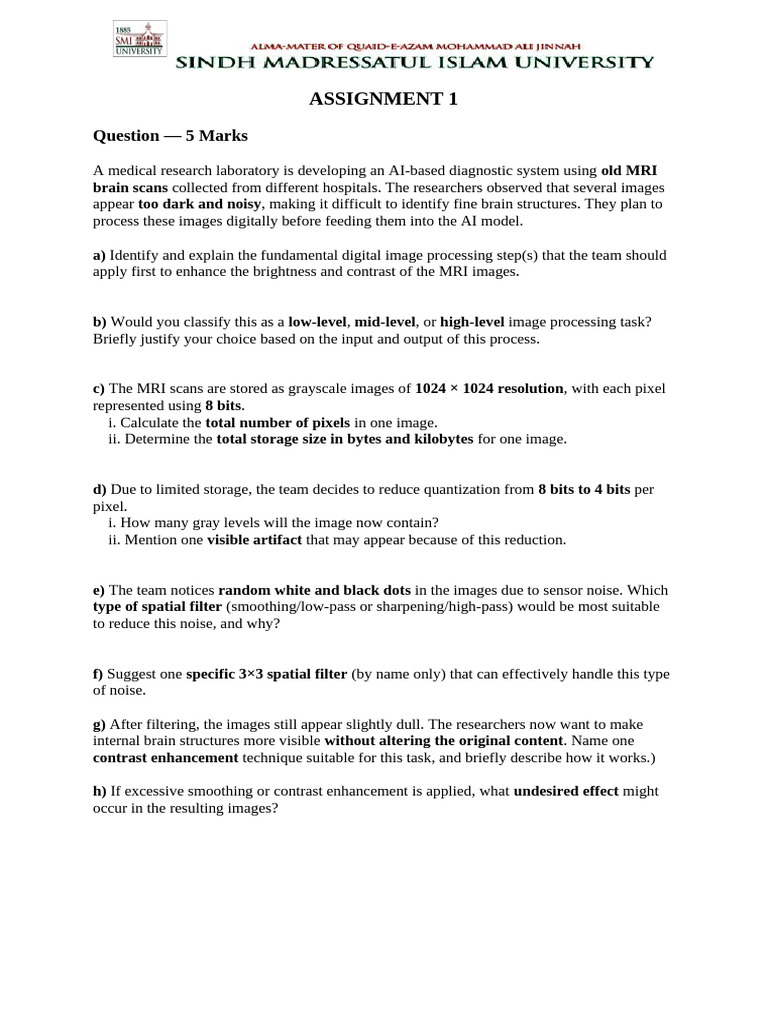 Assignment 1 Dip | PDF