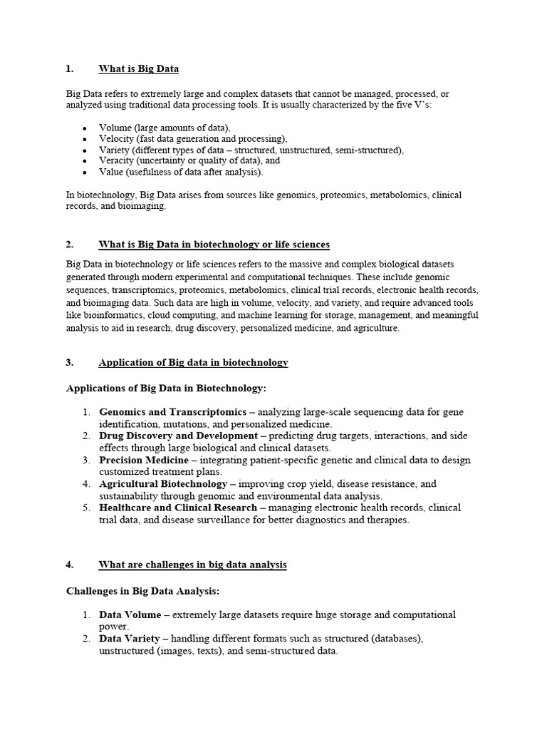 Bda Midsem Qb | PDF