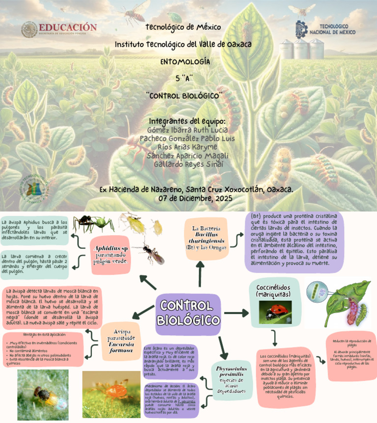 Control Biológico de Plagas en Agricultura | PDF | Coccinellidae ...