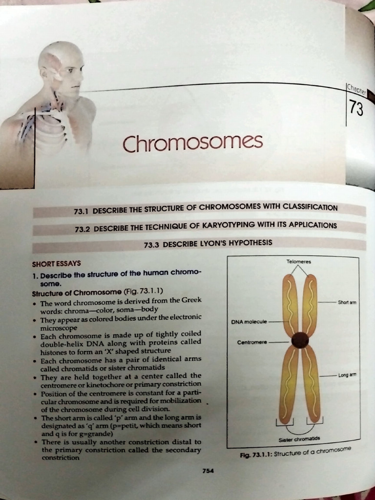 Structure and Classification of Chromosomes | PDF | Chromosome | Ploidy