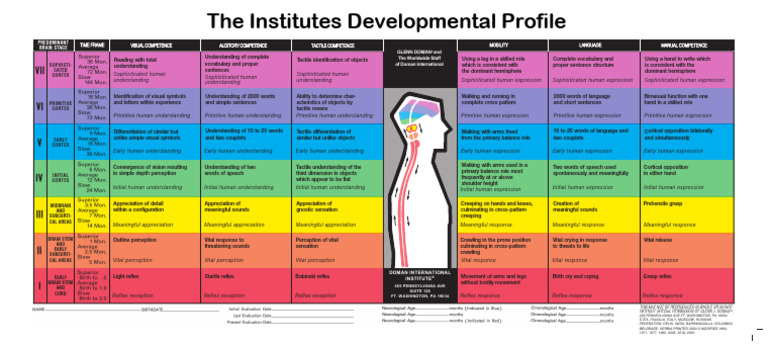 Brain Development Stages Overview | PDF | Lateralization Of Brain ...