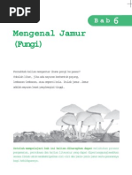 Download Jamur Fungi by Yunita To SN96928713 doc pdf