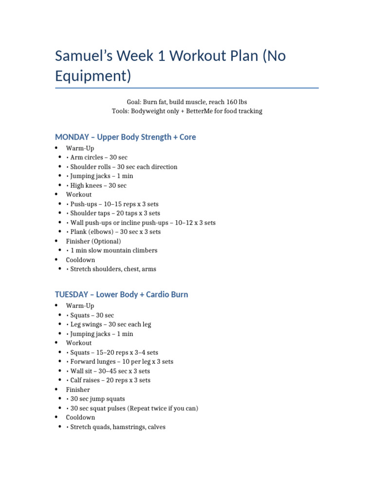 Samuel's No-Equipment Workout Plan | PDF | Physical Fitness | Physical ...