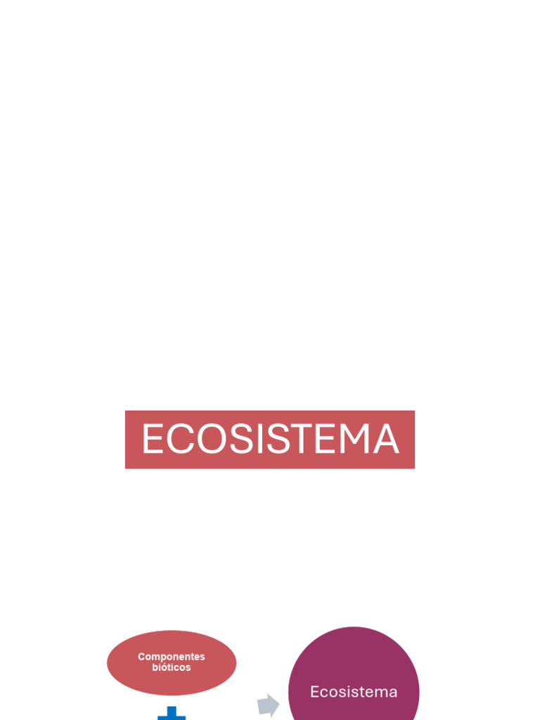 Ecosistemas: Tipos, Energía y Biomas | PDF | Ecología | Ecosistema