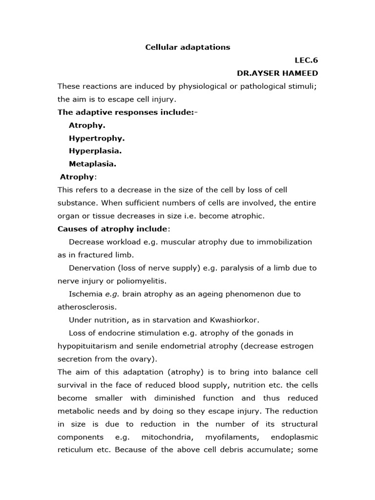 Cellular Adaptations: Atrophy, Hypertrophy, Hyperplasia | PDF ...