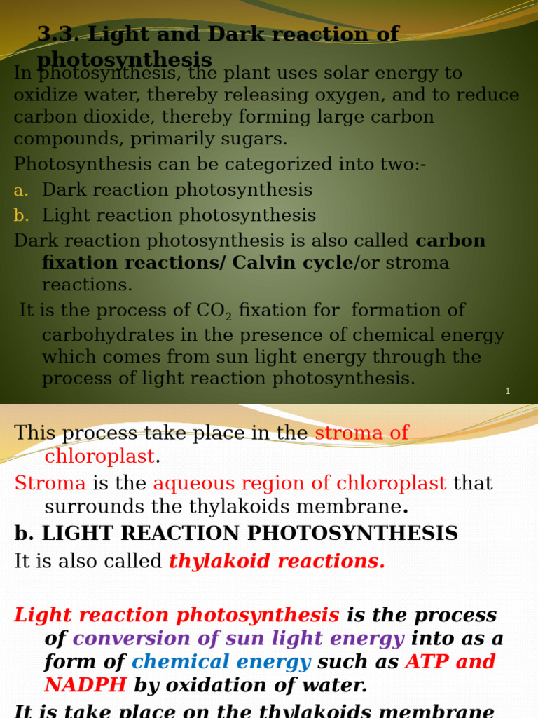 Plant. Chap.32 | PDF | Photosynthesis | Chloroplast