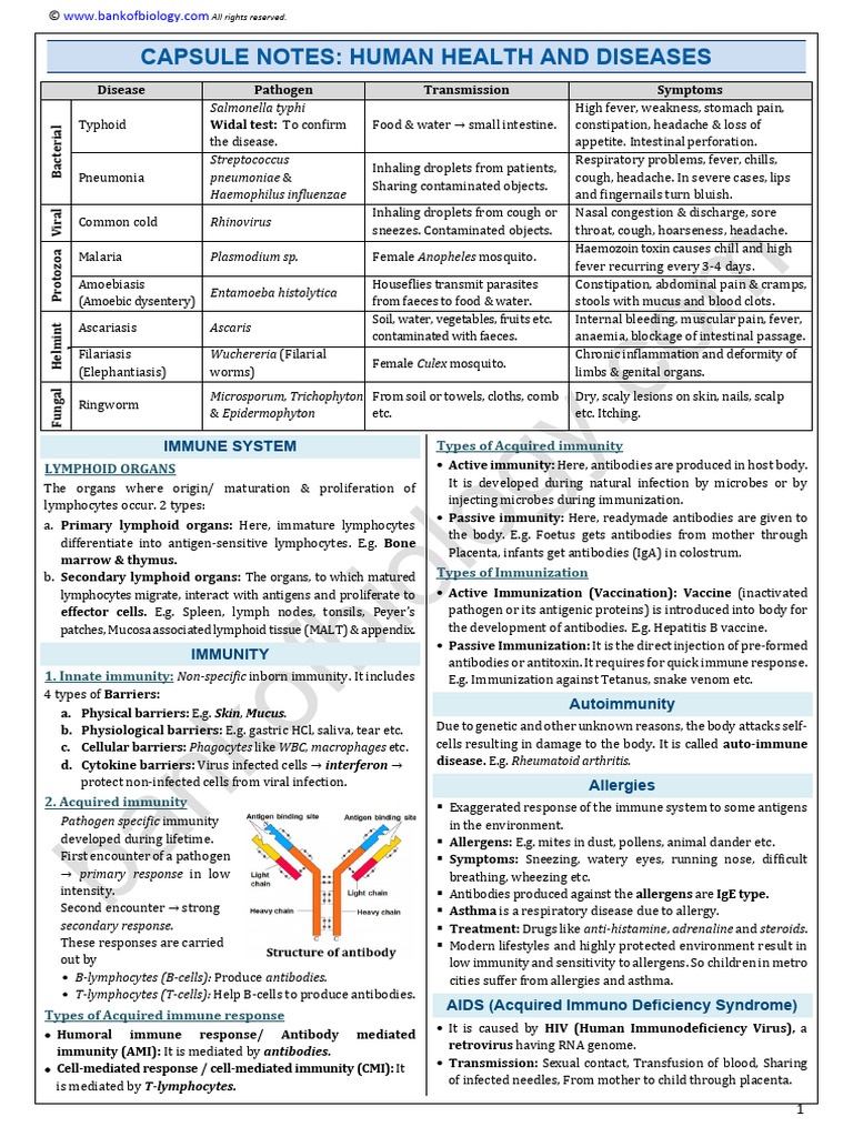 Capsule Notes - Human Health N Disease | PDF | Immune System | Lymphocyte