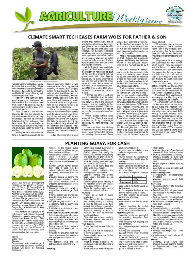 Weekly Issue 19 | PDF | Soil | Pruning