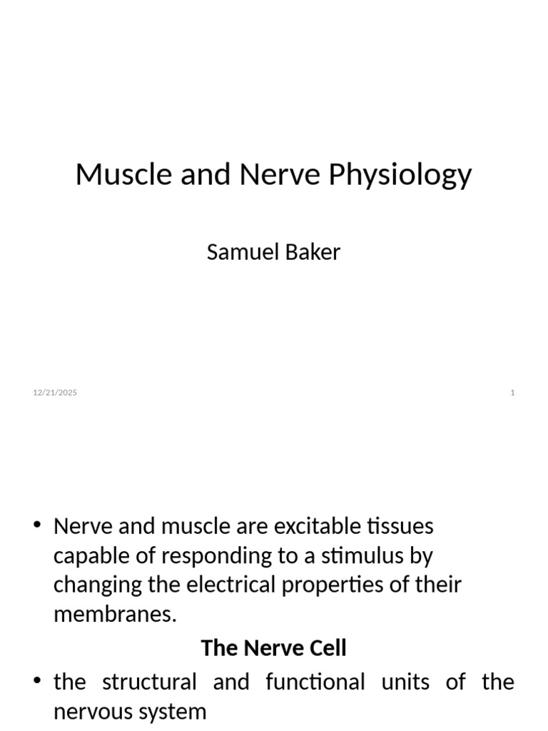 Muscle and Nerve Physiology Overview | PDF | Membrane Potential | Axon