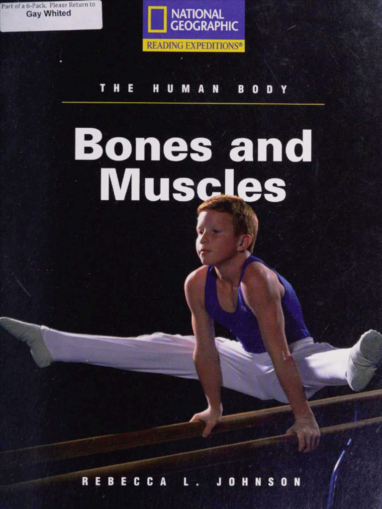 Teaching Notes on Reading and Writing | PDF | Muscle | Bone