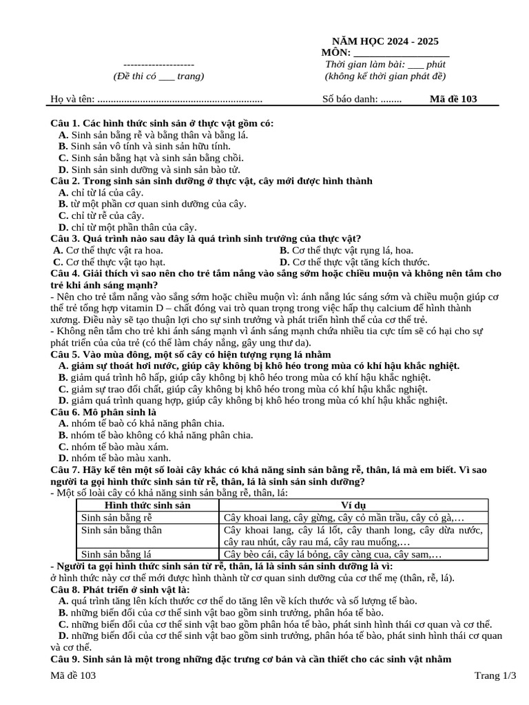 Ma de 103 | PDF