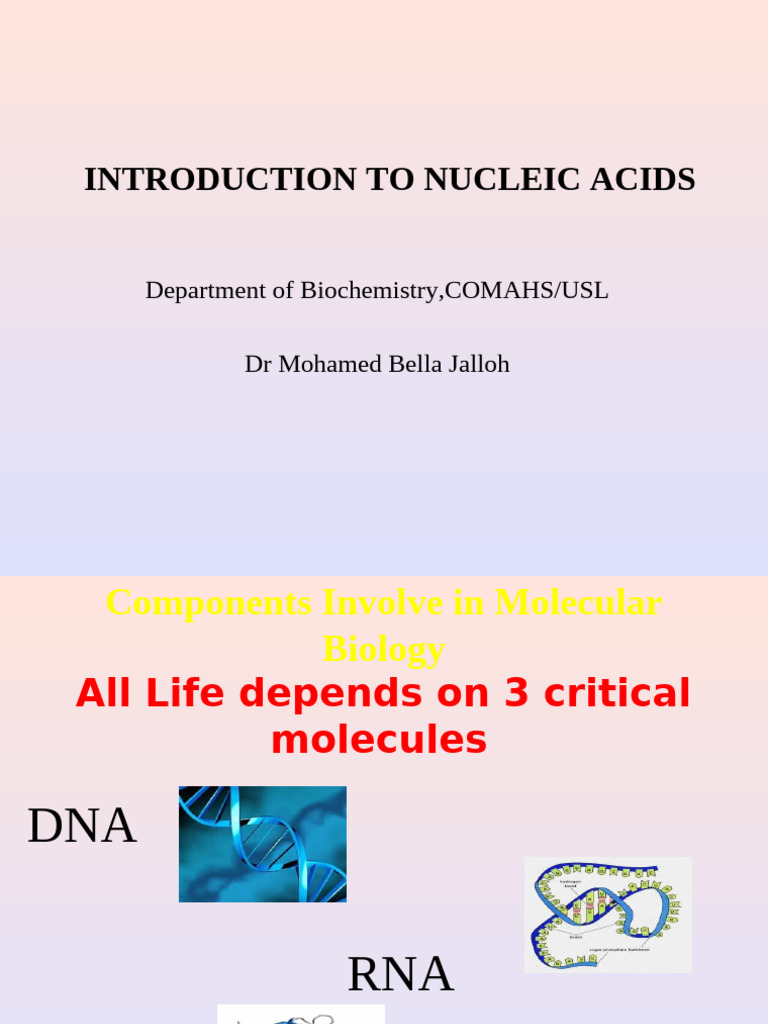DR BELLA Introduction To Nuclei Acids-1 | PDF | Rna | Nucleotides