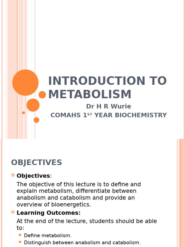 Overview of Metabolism and Bioenergetics | PDF | Metabolic Pathway ...