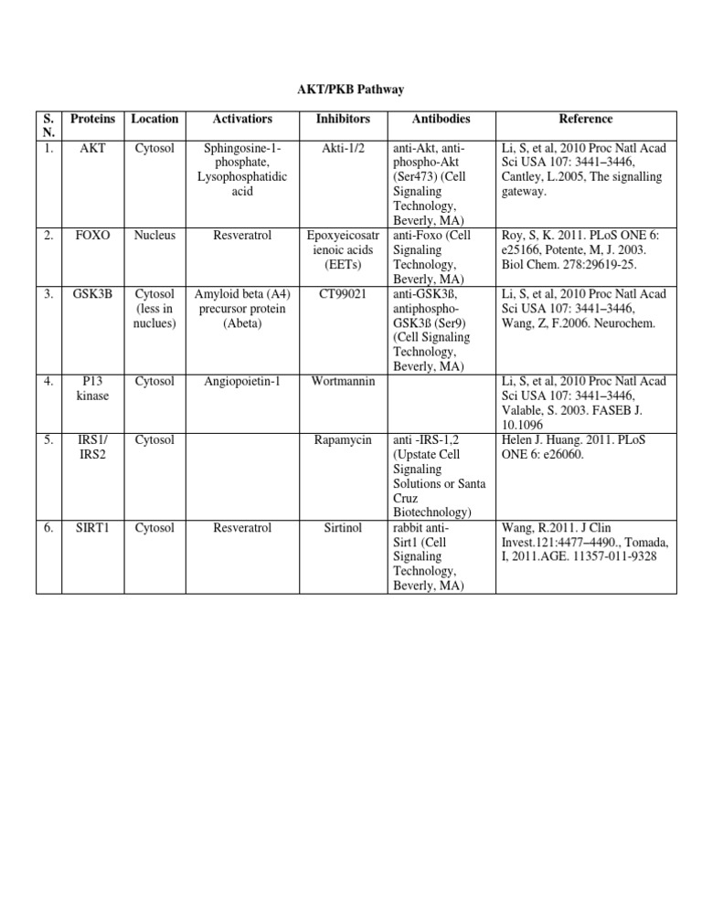 AKT/PKB Pathway Proteins Overview | PDF