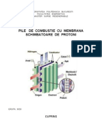 46202270 Pile de Combustie Cu Membrana Schimbatoare de Protoni