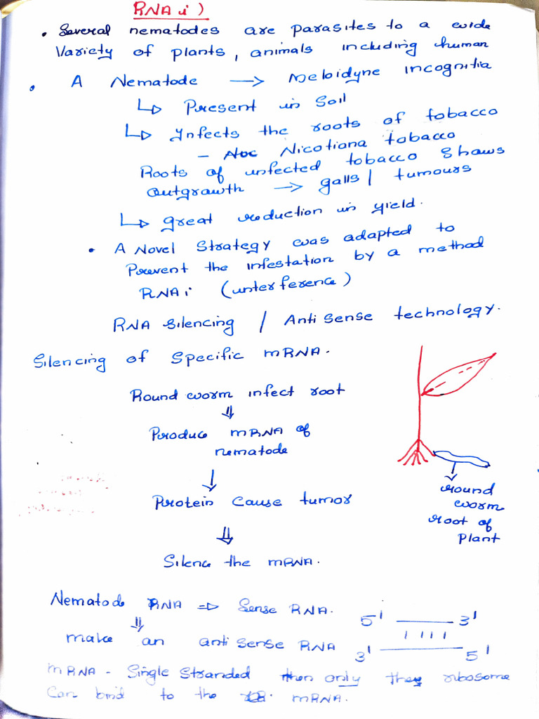 RNA Silencing in Nematode-Resistant Plants | PDF | Rna | Structural Biology