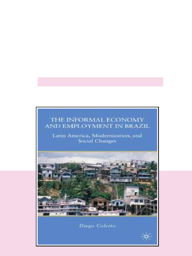 The Informal Economy And Employment In Brazil Latin America ...