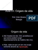 Aula 01 Origem Da Vida