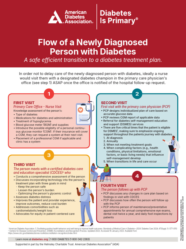 Diabetes Care Transition Guide 2024 | PDF | Diabetes | Health Care
