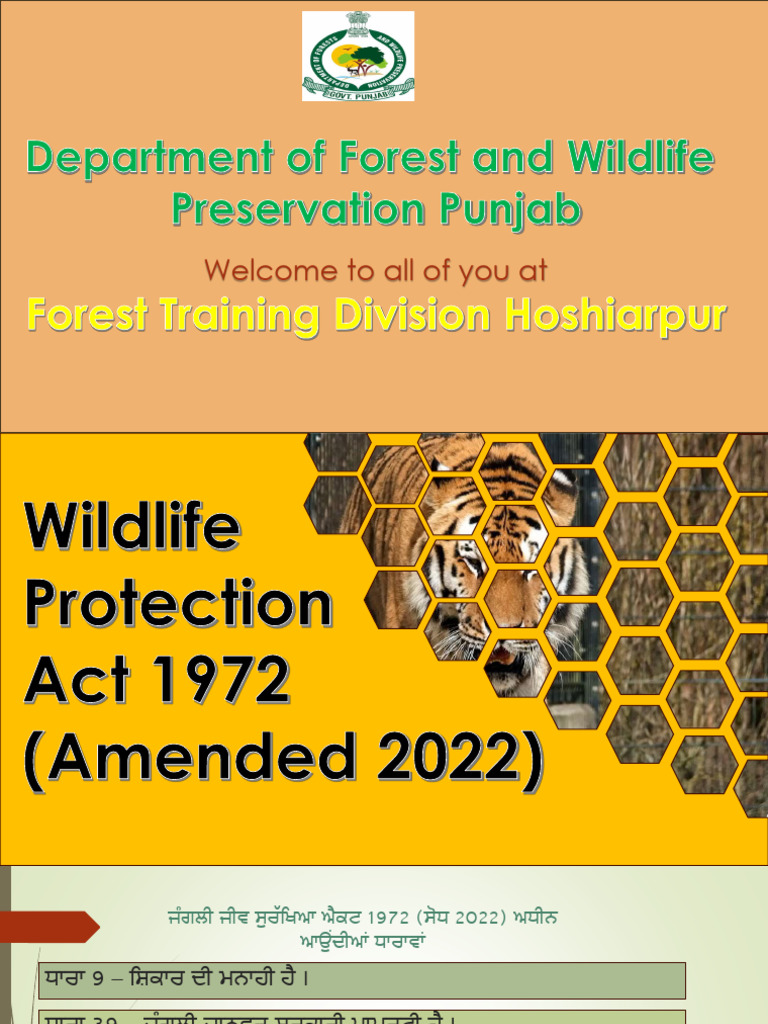 Presentation Wildlife | PDF