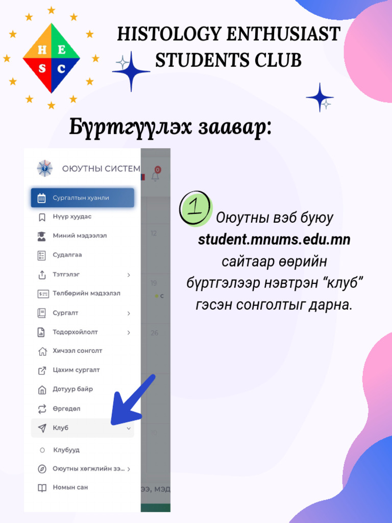 Hesc | PDF