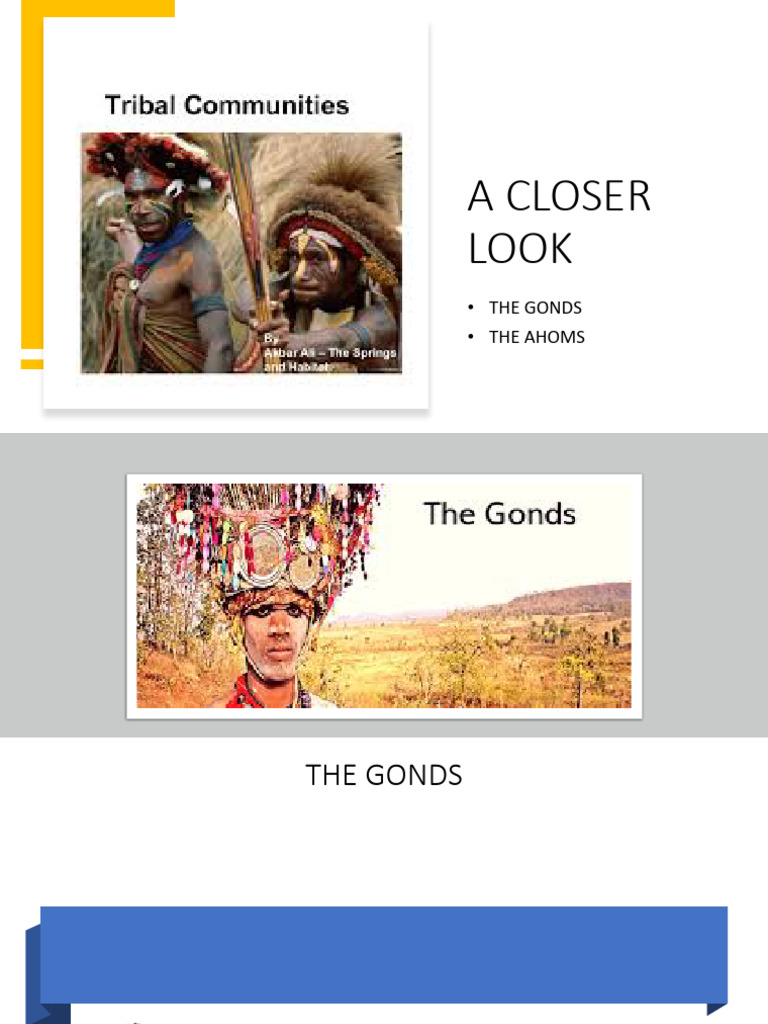 Gonds and Ahoms: Tribes of India | PDF