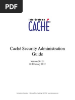 Intersystem Cache Database Security Admin