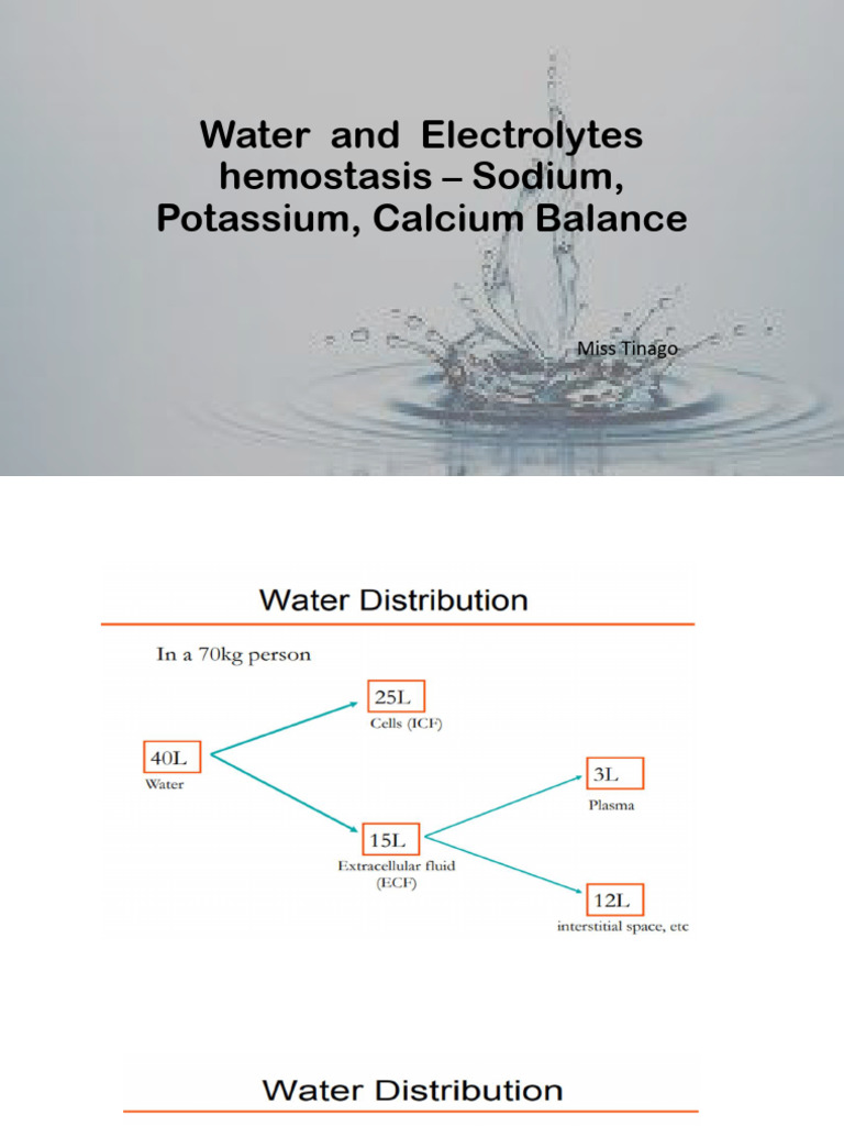 Water and Electrolyte Regulation Overview | PDF | Angiotensin | Kidney