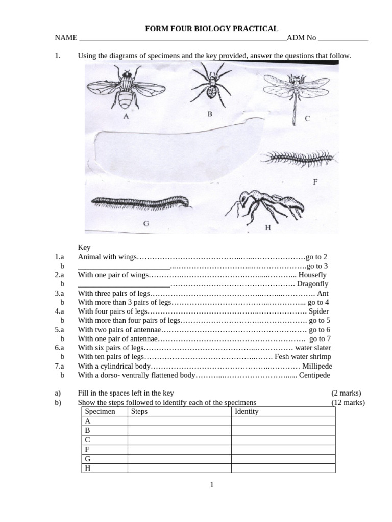 Form Four Biology Practical Guide | PDF