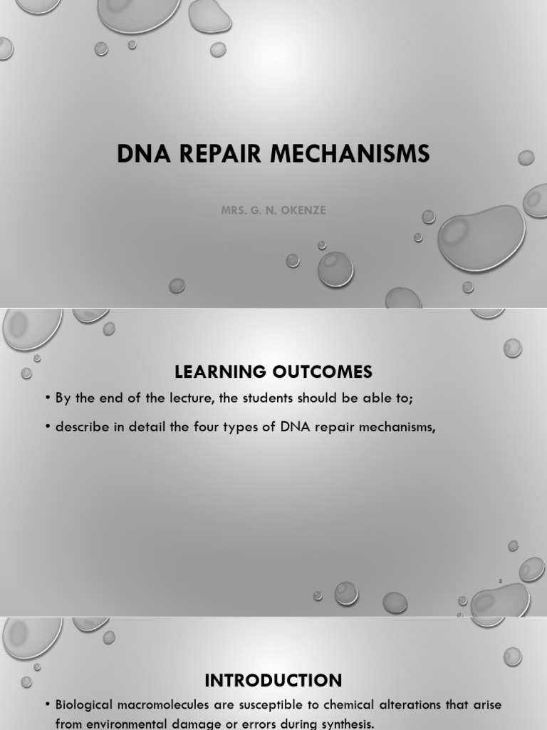 DNA Repair Mechanisms Explained | PDF | Dna | Cellular Processes