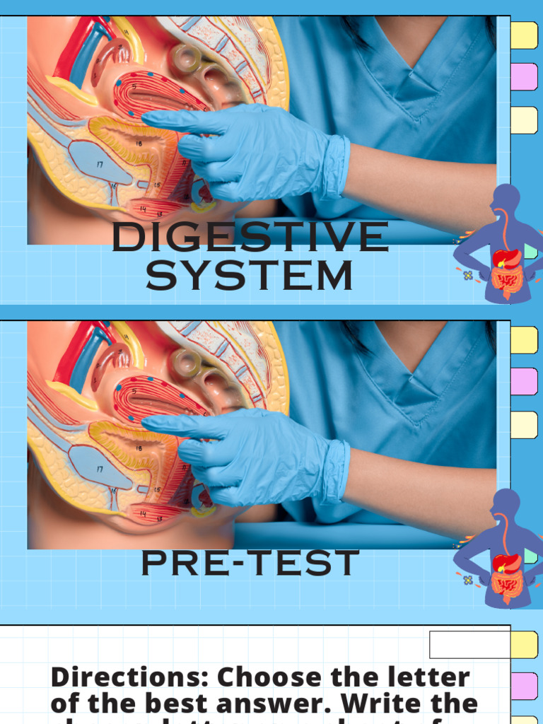 Digestive System Pre-Test Questions | PDF | Gastrointestinal Tract ...