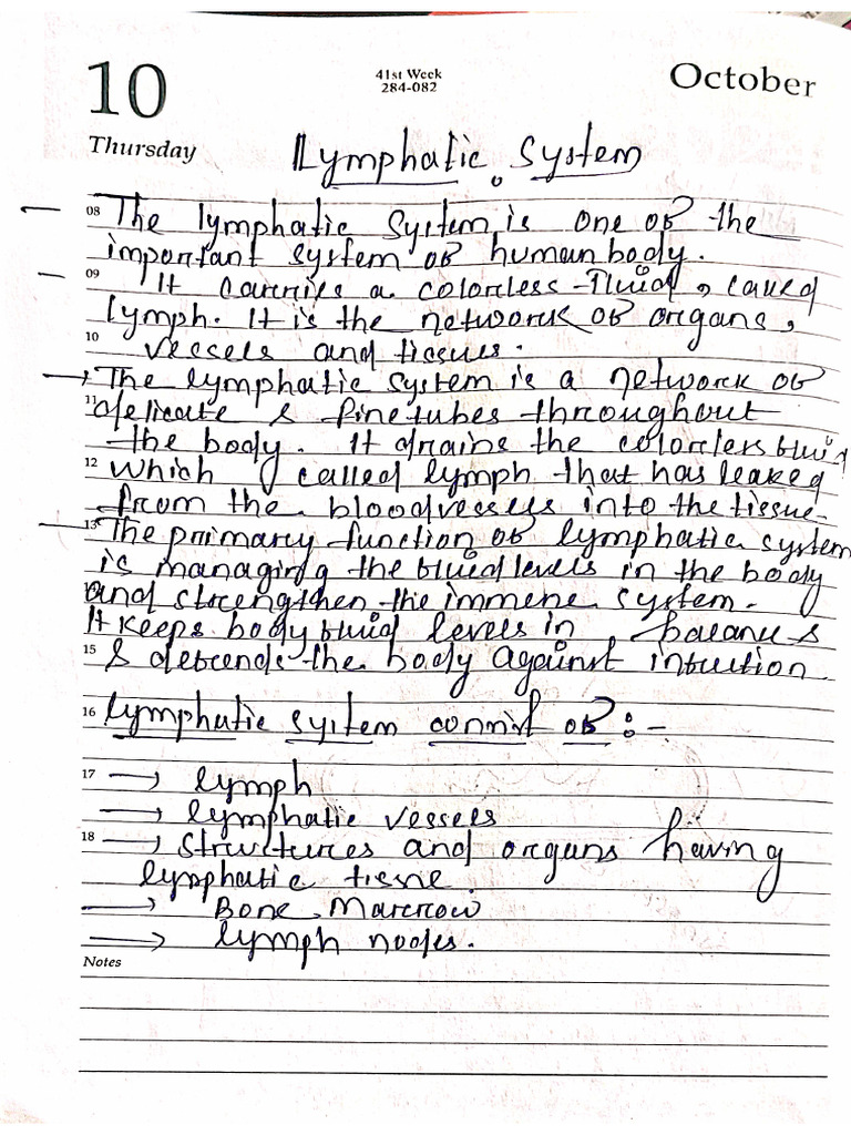 Lymphatic System | PDF