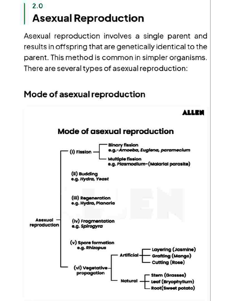 Biology Chapter 3 | PDF