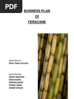 Download Sugar Cane -Business Plan by natashasaher SN96950720 doc pdf